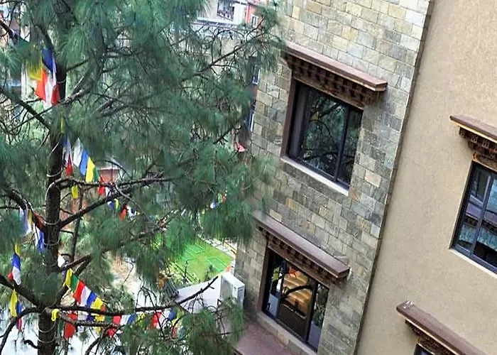 Tibet International
